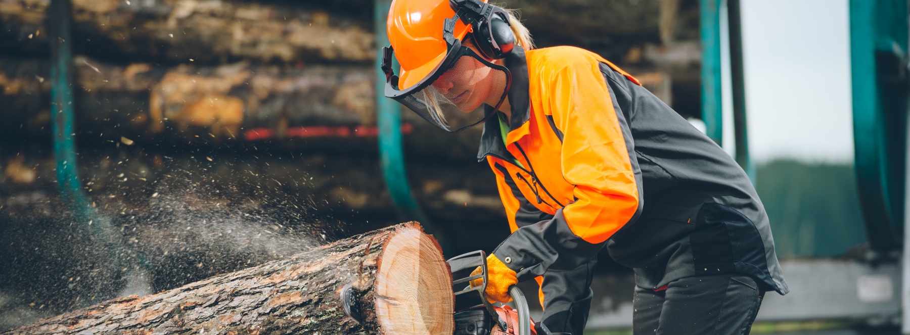 Das Bild zeigt eine Frau, die bei der Arbeit in einem Wald oder in der Nähe eines Holzlagerplatzes zu sein scheint. Sie trägt eine komplette Schutzkleidung, bestehend aus einem orangefarbenen Schutzhelm mit Gehörschutz und Visier, einer orangefarbenen Jacke mit dunklen Ärmeln, Handschuhen und dunklen Hosen. Sie steht leicht nach vorne gebeugt und hält eine orangefarbene Kettensäge, mit der sie einen dicken Baumstamm sägt. Sägespäne fliegen in alle Richtungen, was darauf hindeutet, dass die Säge in Betrieb ist.  Im Hintergrund sind weitere Baumstämme gestapelt, was die Umgebung als Holzlagerplatz oder Waldarbeitenbereich kennzeichnet. Ein Teil eines Lastwagens oder Anhängers mit einem Reifen ist ebenfalls sichtbar. Der Himmel ist bedeckt, was auf ein bewölktes Wetter hindeutet.  Die Atmosphäre des Bildes ist funktional und professionell, was durch die Schutzkleidung und die Konzentration der Frau auf ihre Arbeit unterstrichen wird. Die Stimmung ist ernst und arbeitsorientiert, was durch die geschäftige Tätigkeit des Holzsägens verstärkt wird.
